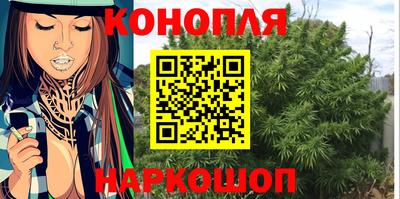 соль ск Славгород