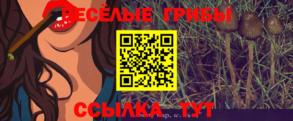 Псилоцибиновые грибы мицелий  Галлюциногенные грибы Cubensis  Вход с VPN  Энгельс 